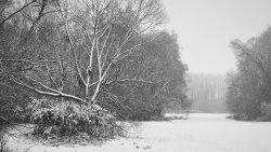 Winterstille